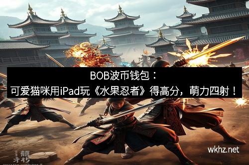 BOB波币钱包：可爱猫咪用iPad玩《水果忍者》得高分，萌力四射！